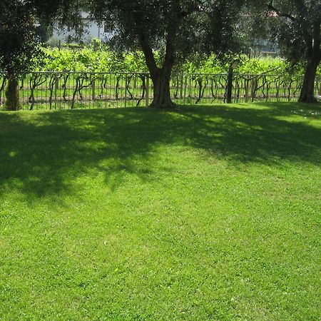 Aparthotel Casa Carla Torbole Sul Garda Zewnętrze zdjęcie