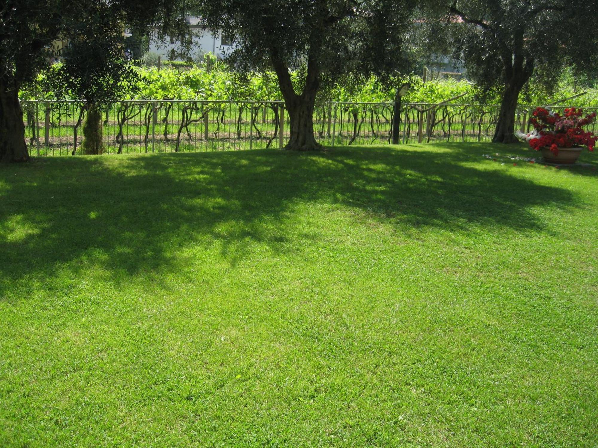 Aparthotel Casa Carla Torbole Sul Garda Zewnętrze zdjęcie